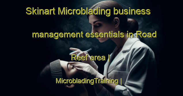 Skinart Microblading business management essentials in Road Reef area | MicrobladingTraining | MicrobladingClasses | SkinartTraining-Virgin Islands British